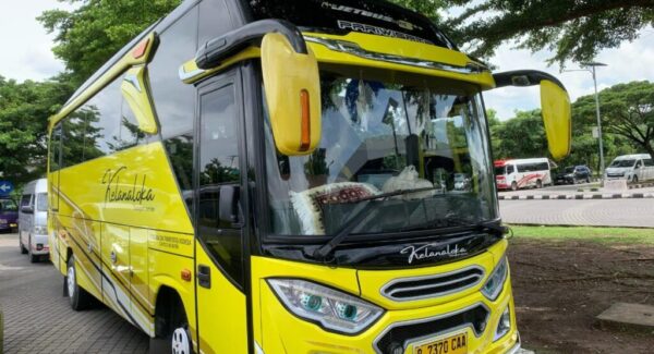 Medium Bus 31-33-35 Seats (2)